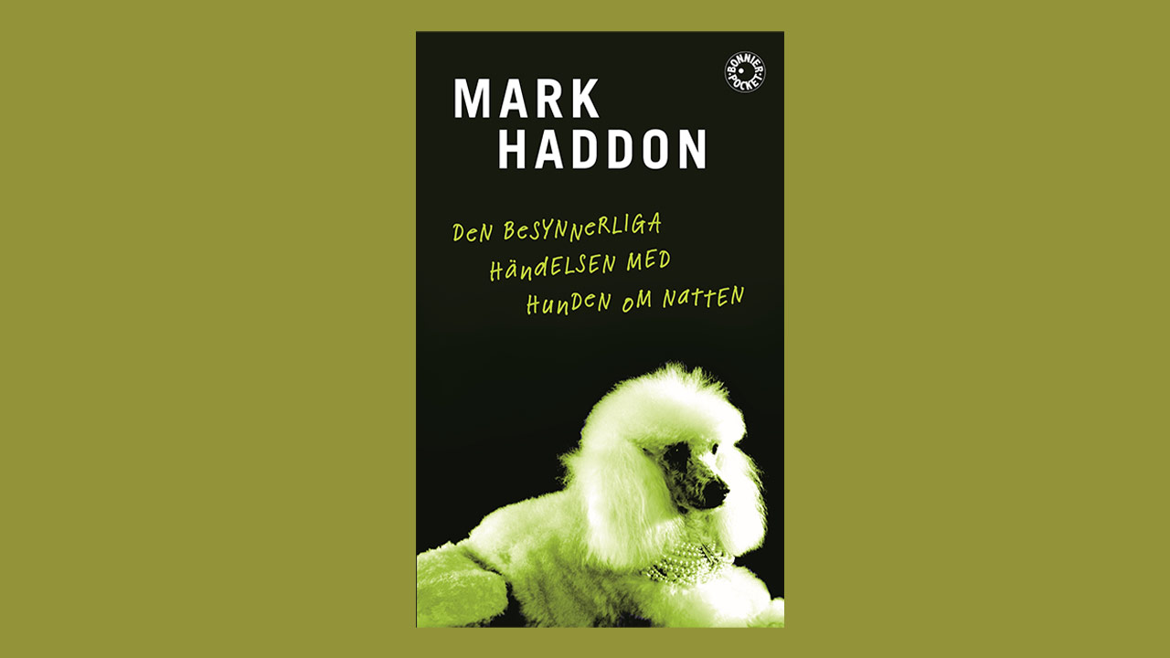 Omslaget på boken Den besynnerliga händelsen med hunden om natten